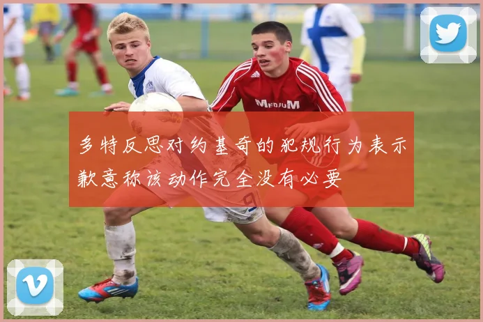 多特反思对约基奇的犯规行为表示歉意称该动作完全没有必要