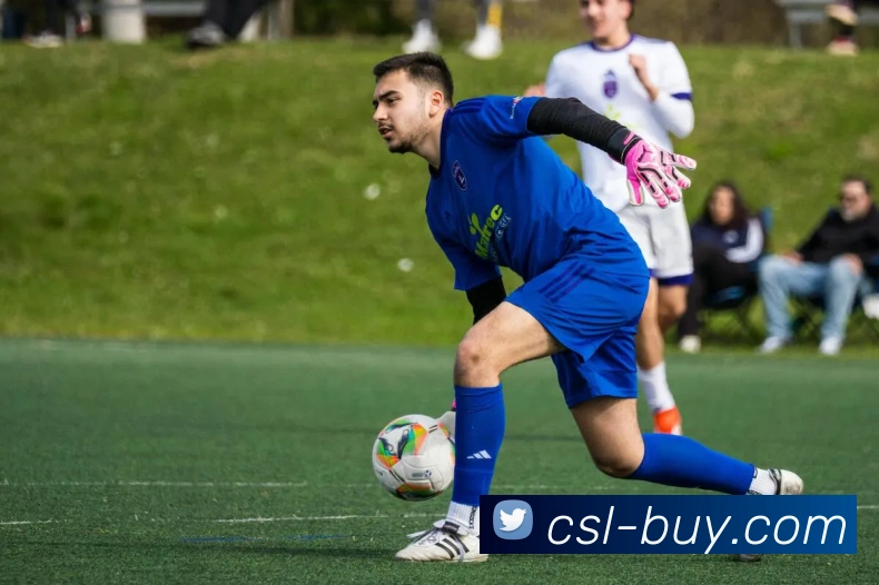 中超买球官网平台生态图