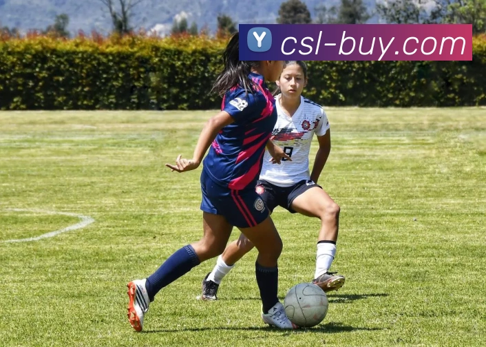 中超买球官网全站App